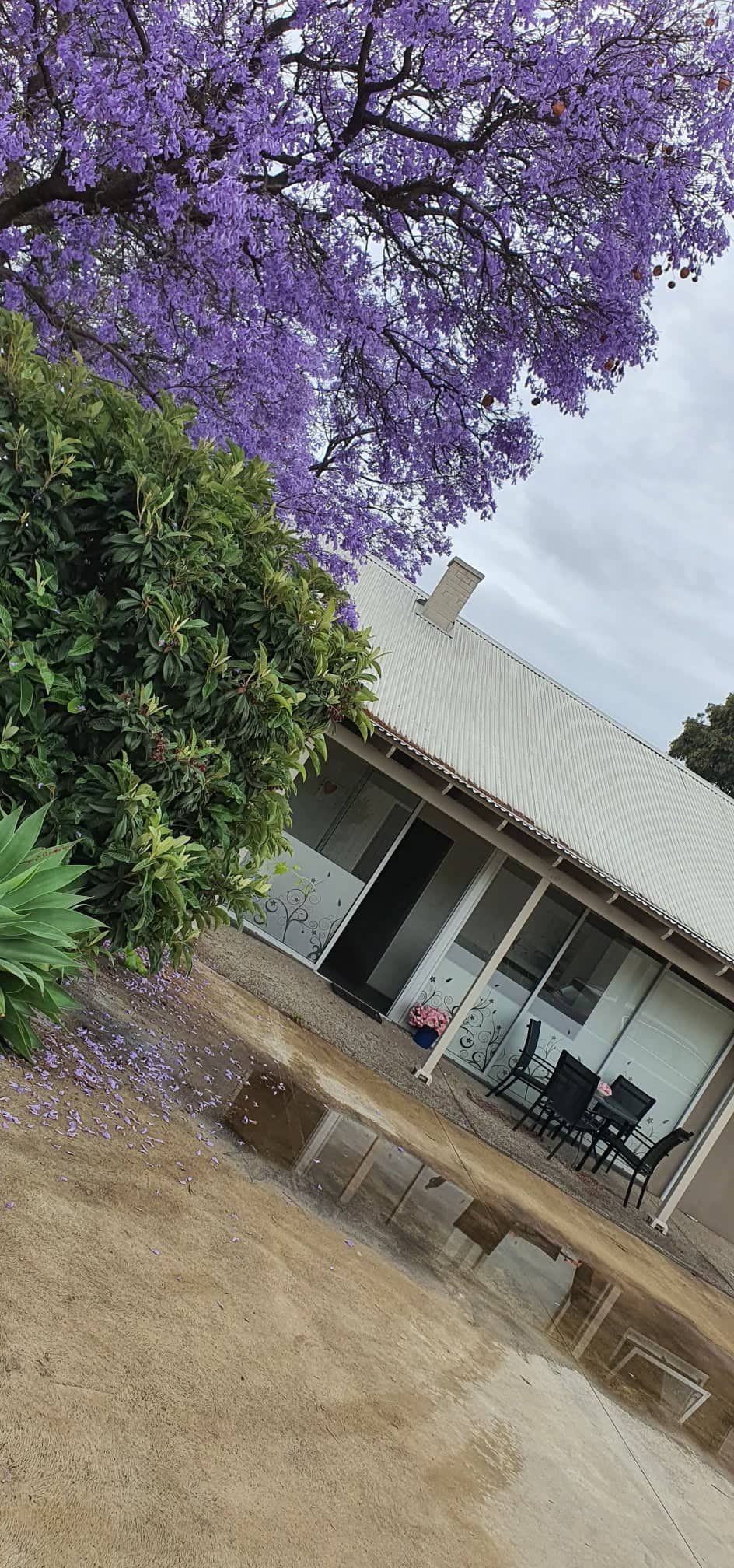 Bungalow in Payneham — Home image 19