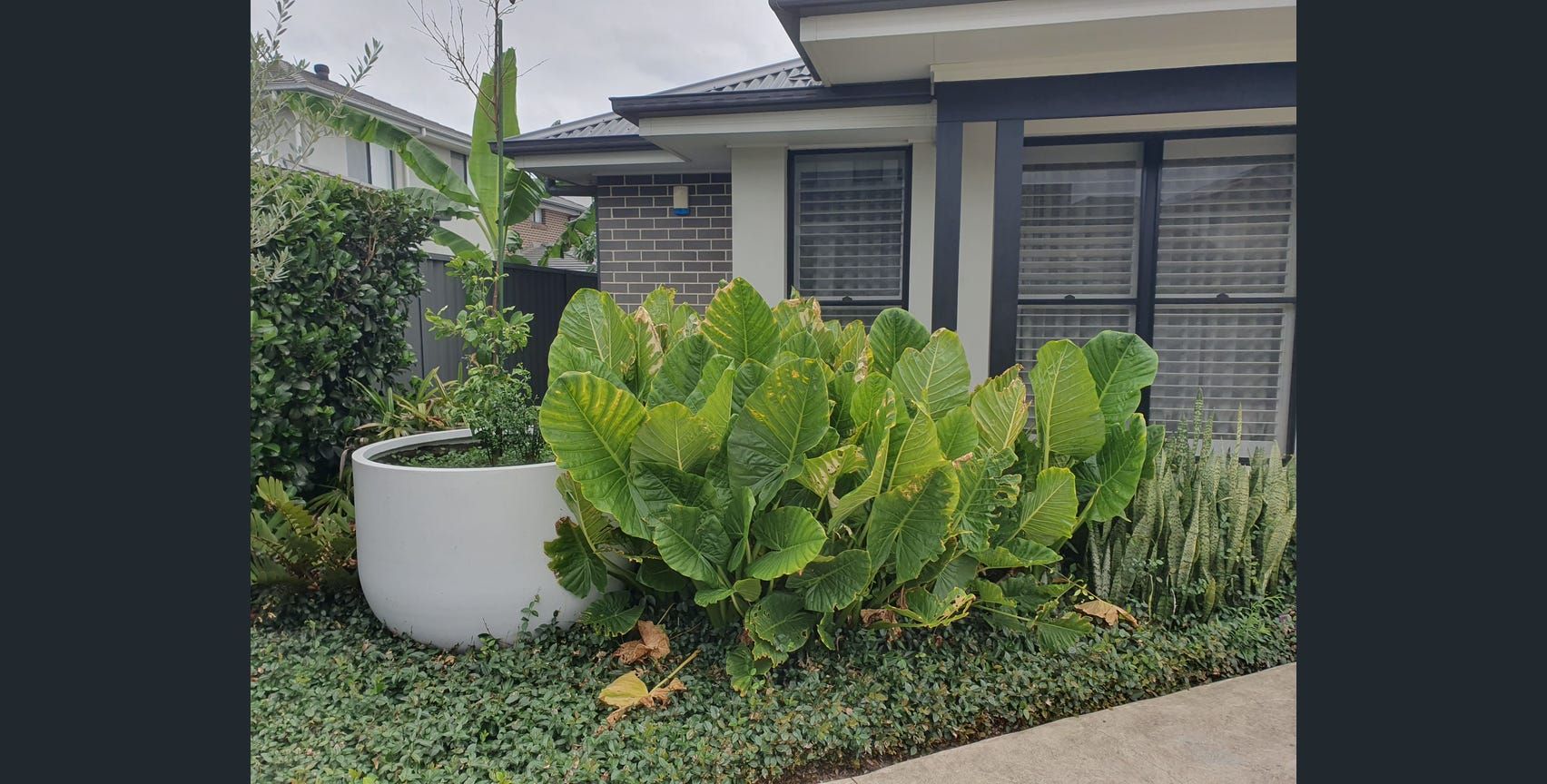 Marsden Park — Home image 12