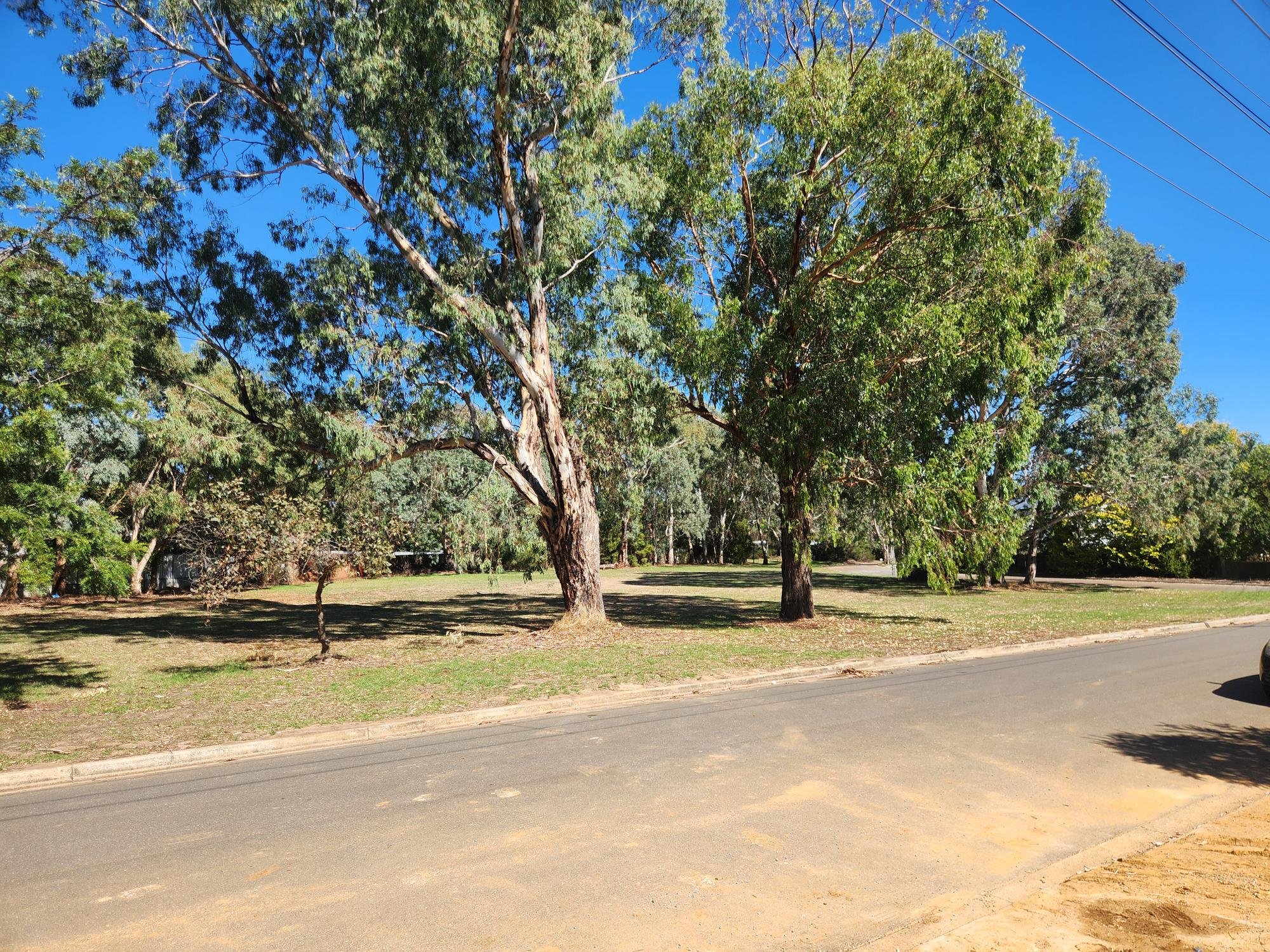 Mount Barker, SA 5251 — Home image 3