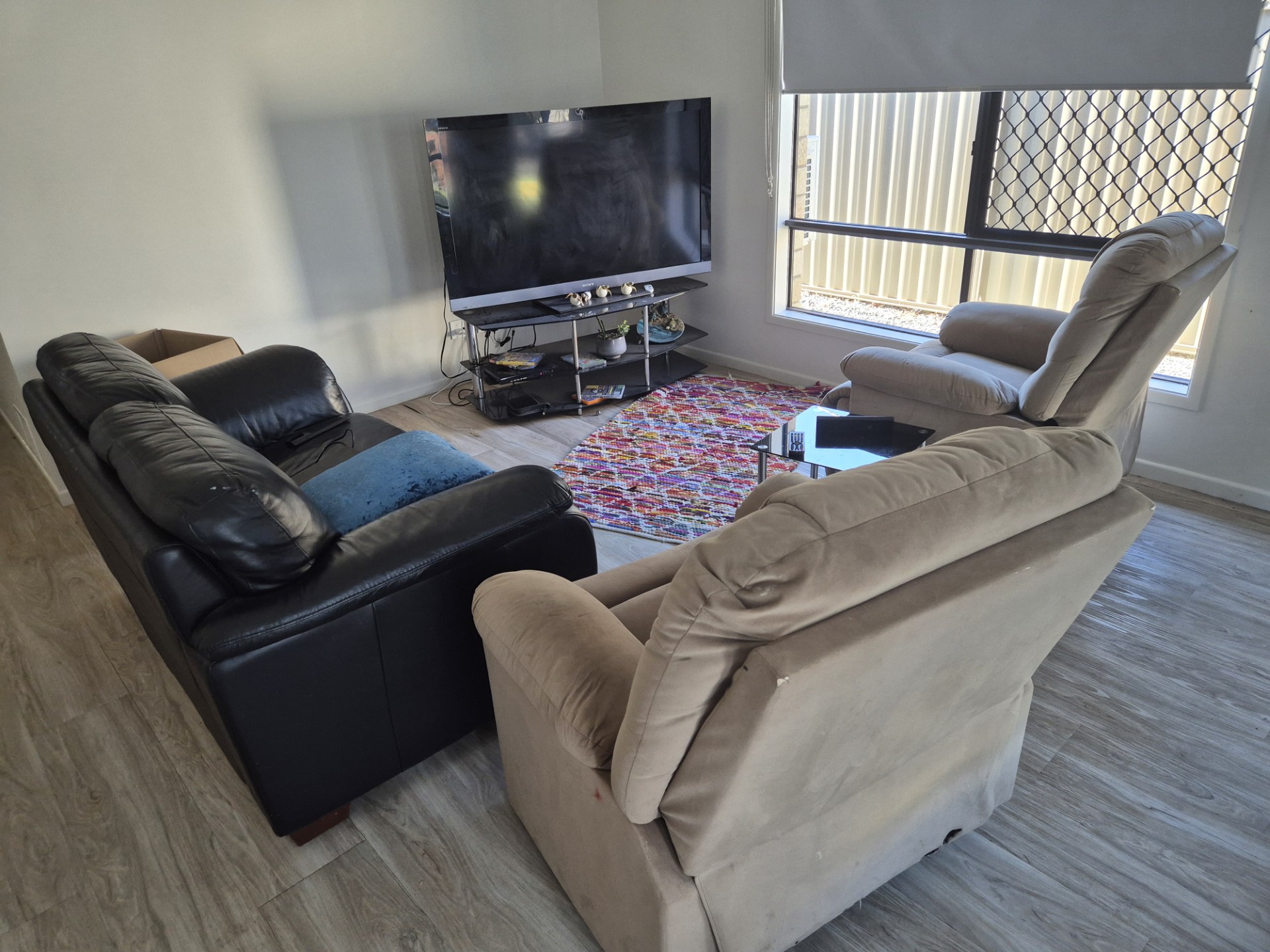 1:3 SIL - Redland Bay, QLD - Female — Home image 3