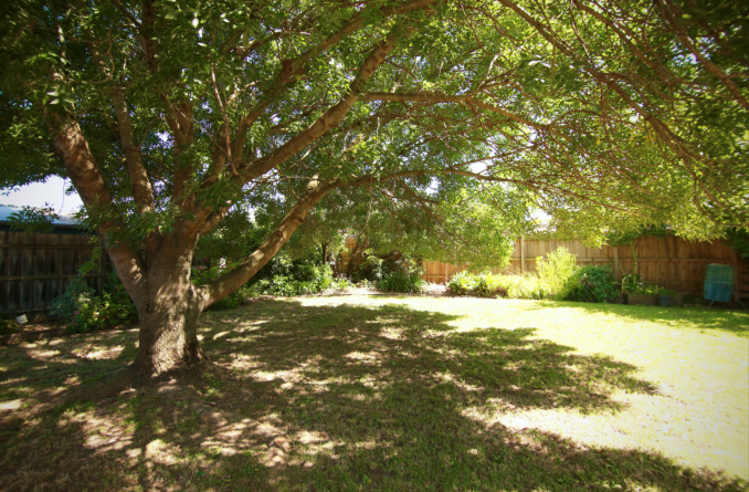 Spacious Dandenong Home - Room Vacancy — Home image 3
