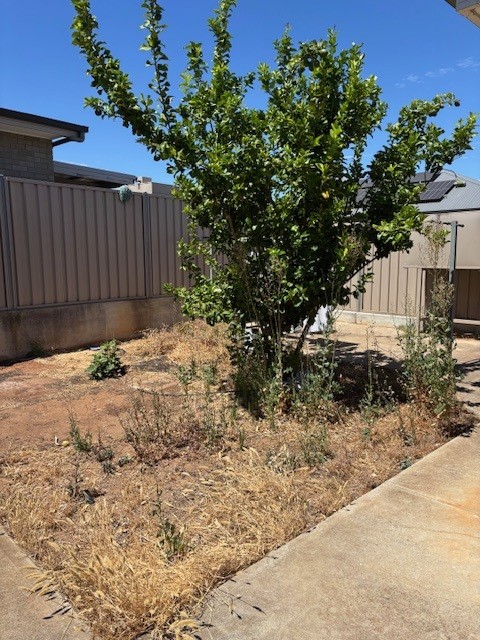 Elizabeth Park - 1 Vacancy in 1 Client Bedroom Residence Improved Liveability — Floorplan 1