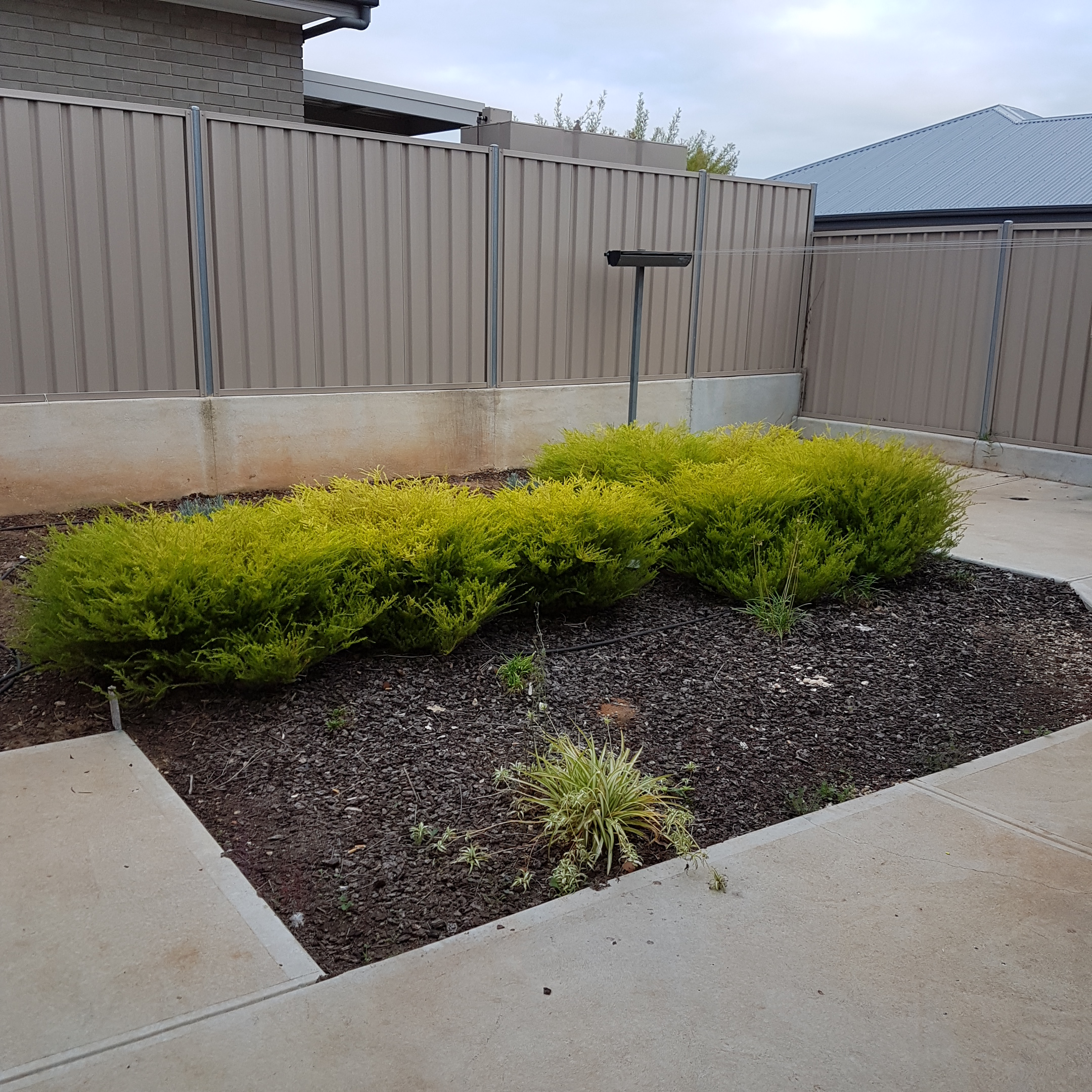 Elizabeth Park - 1 Vacancy in 1 Client Bedroom Residence Improved Liveability — Home image 7