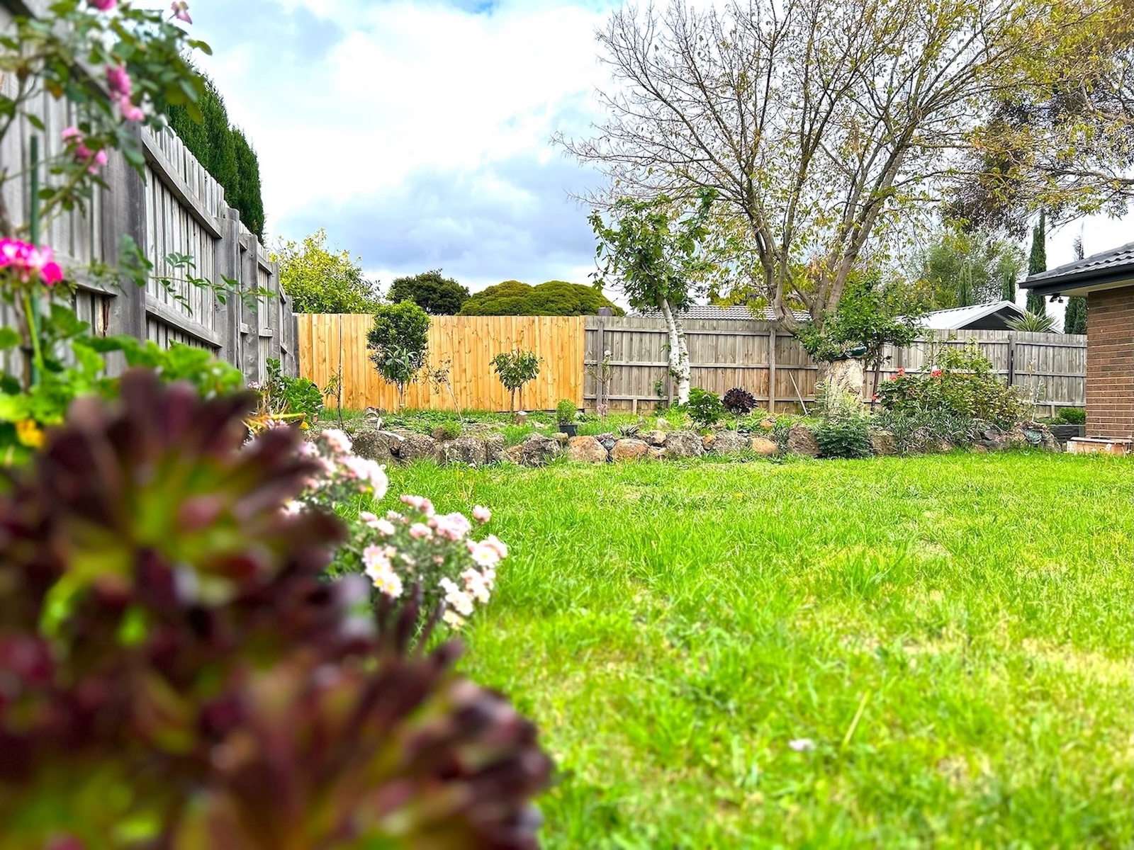 Cozy 1 Bedroom SIL,STA, MTA, Pet Friendly Home in Wantirna South  24/7 Care — Home image 9