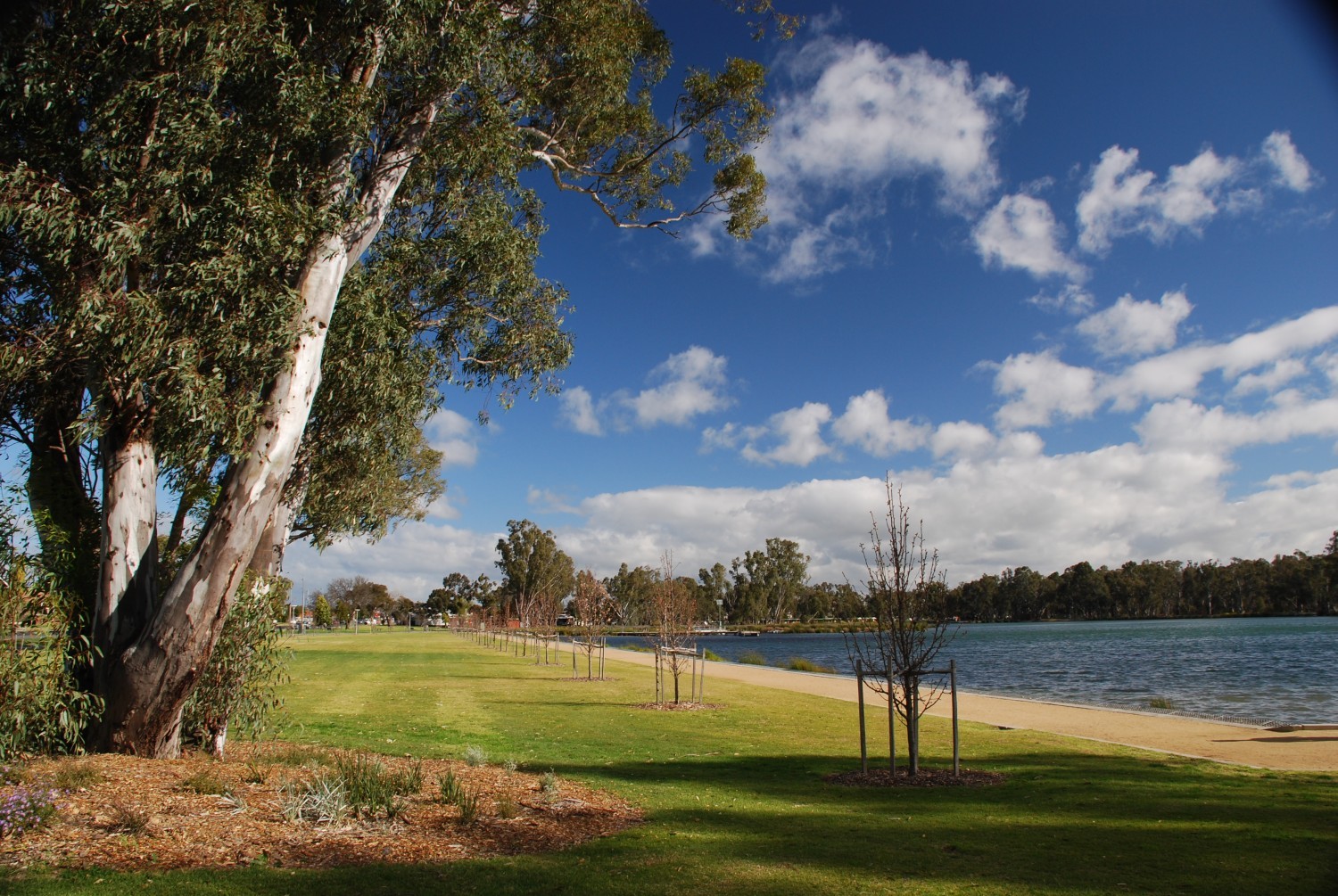 Shepparton: New SDA accepting all categories, looking for 1 female resident — Home image 11