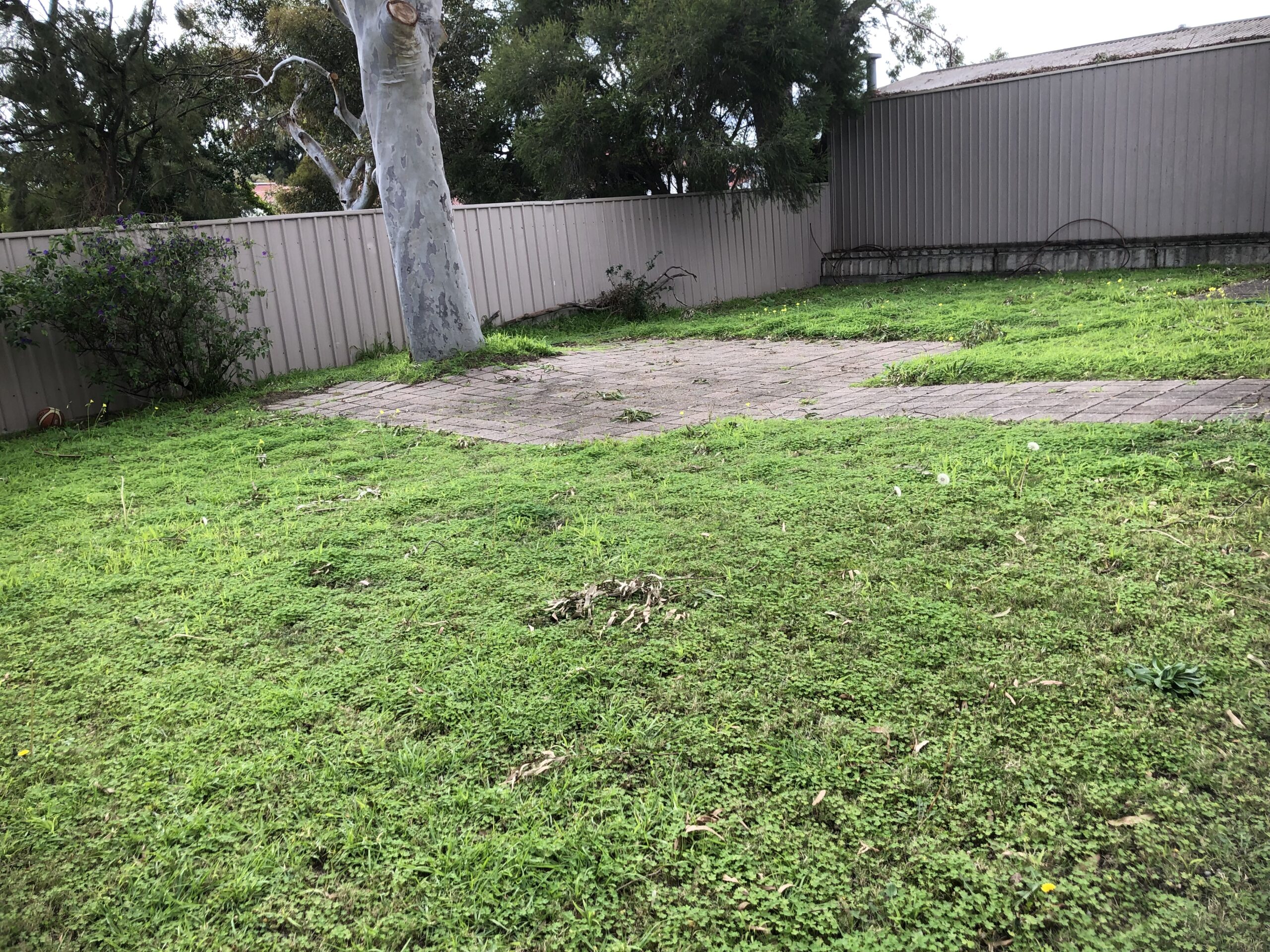 Magill - 1 Vacancy 4 Bedroom Residence Basic — Home image 2