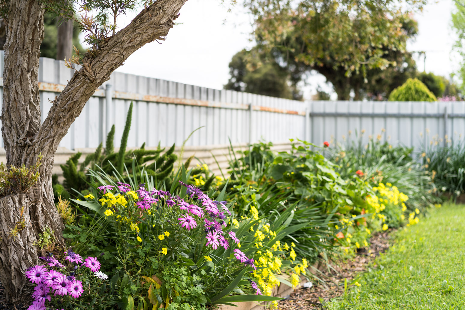 Supported Independent Living Home – Lavington — Home image 19