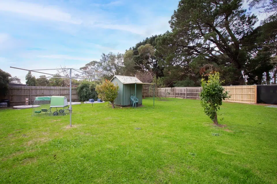 Rosebud: Basic house — Home image 11