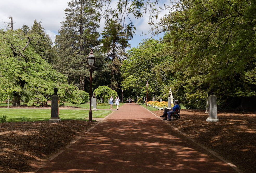 Nature, Culture & Care – Your Ideal SDA HPS Home in Ballarat — Home image 3