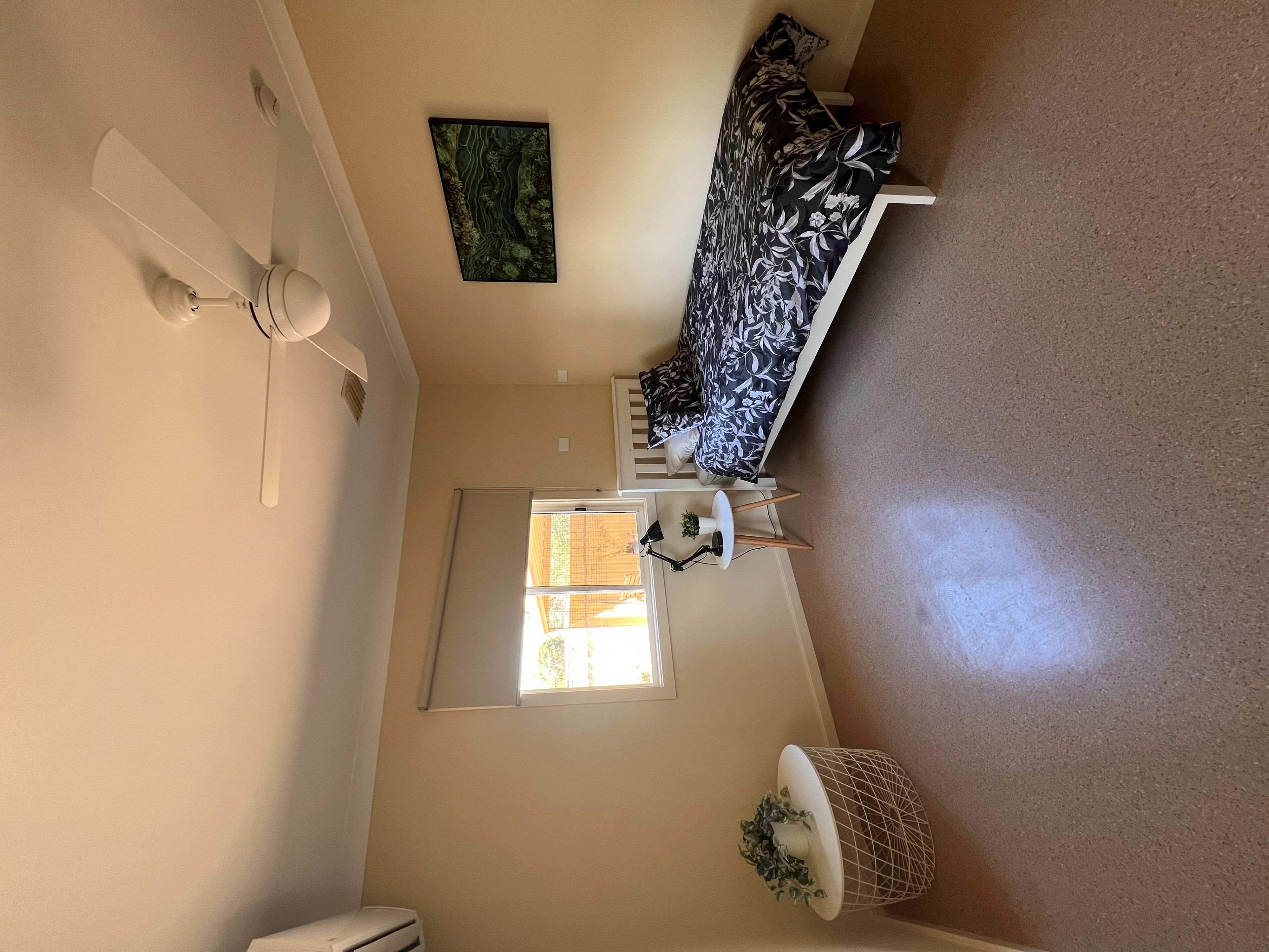 Established 3 bedroom home located in Salisbury North — Home image 3