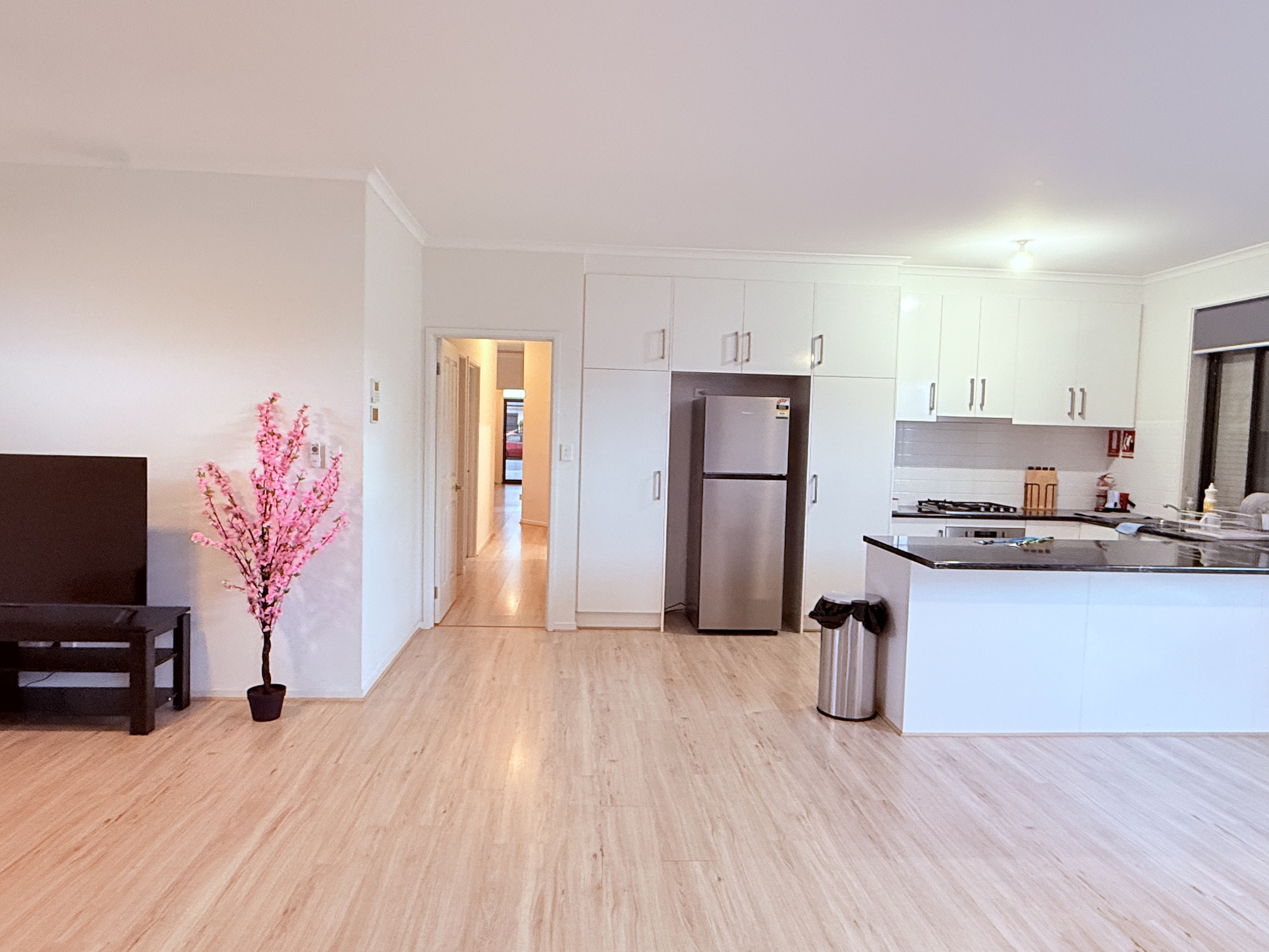 Parafield Gardens SIL House 1:2 or 1:3 — Home image 5