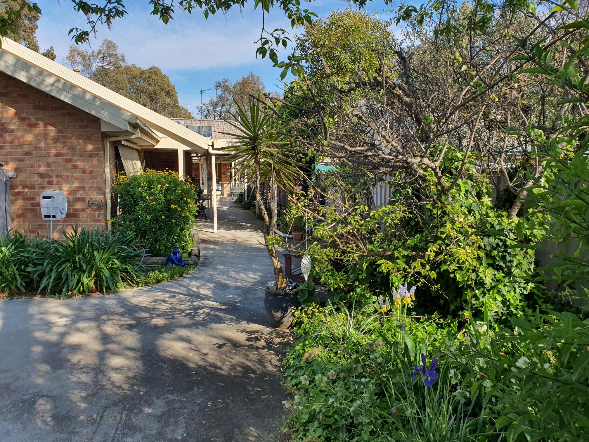 Housing Choices Australia — Home image 6
