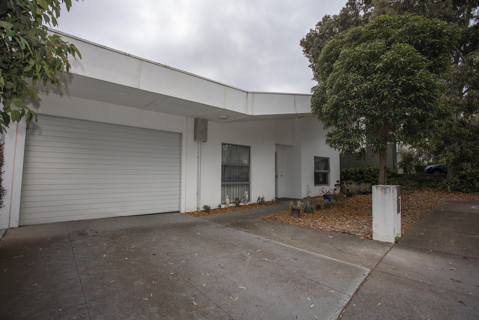 Welcoming home in Kew, in Melbourne's inner East — Home image 13