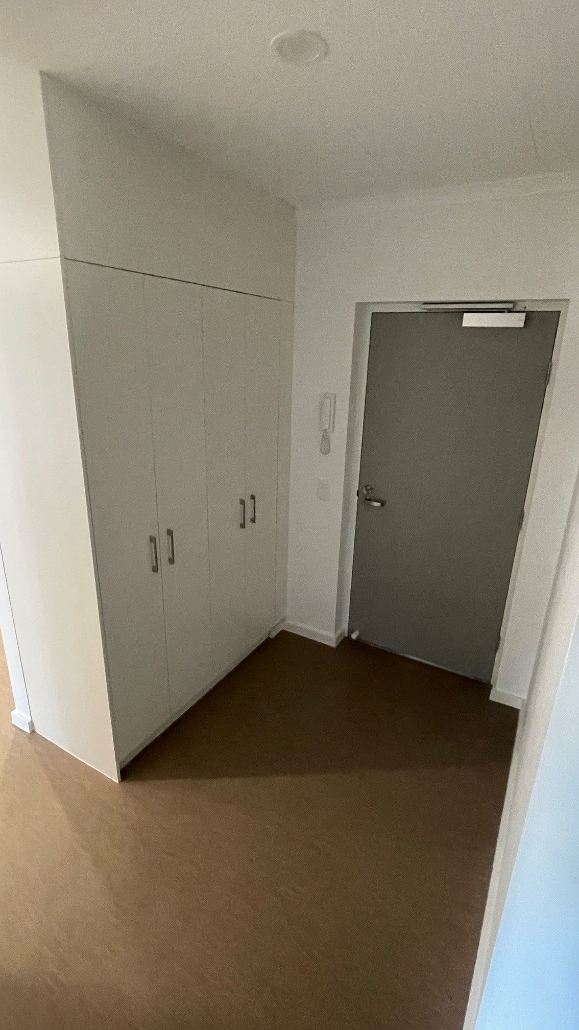 New Apartment in Woodville West — Home image 4