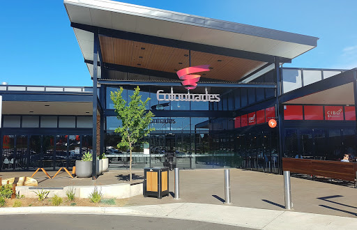 Jewel in the Southern Suburbs — Home image 3