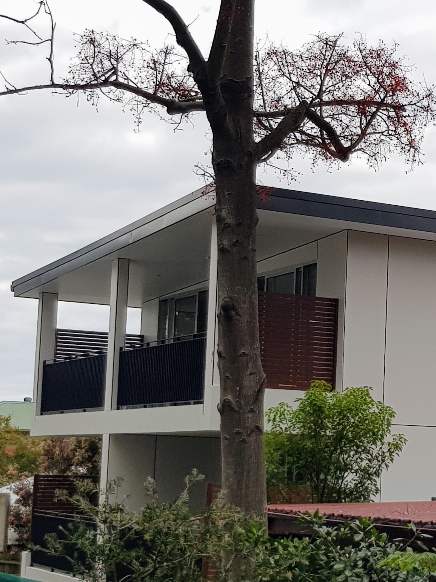 New Modern SDA Property on Northern Beaches - Now Completed - Register Now — Home image 3