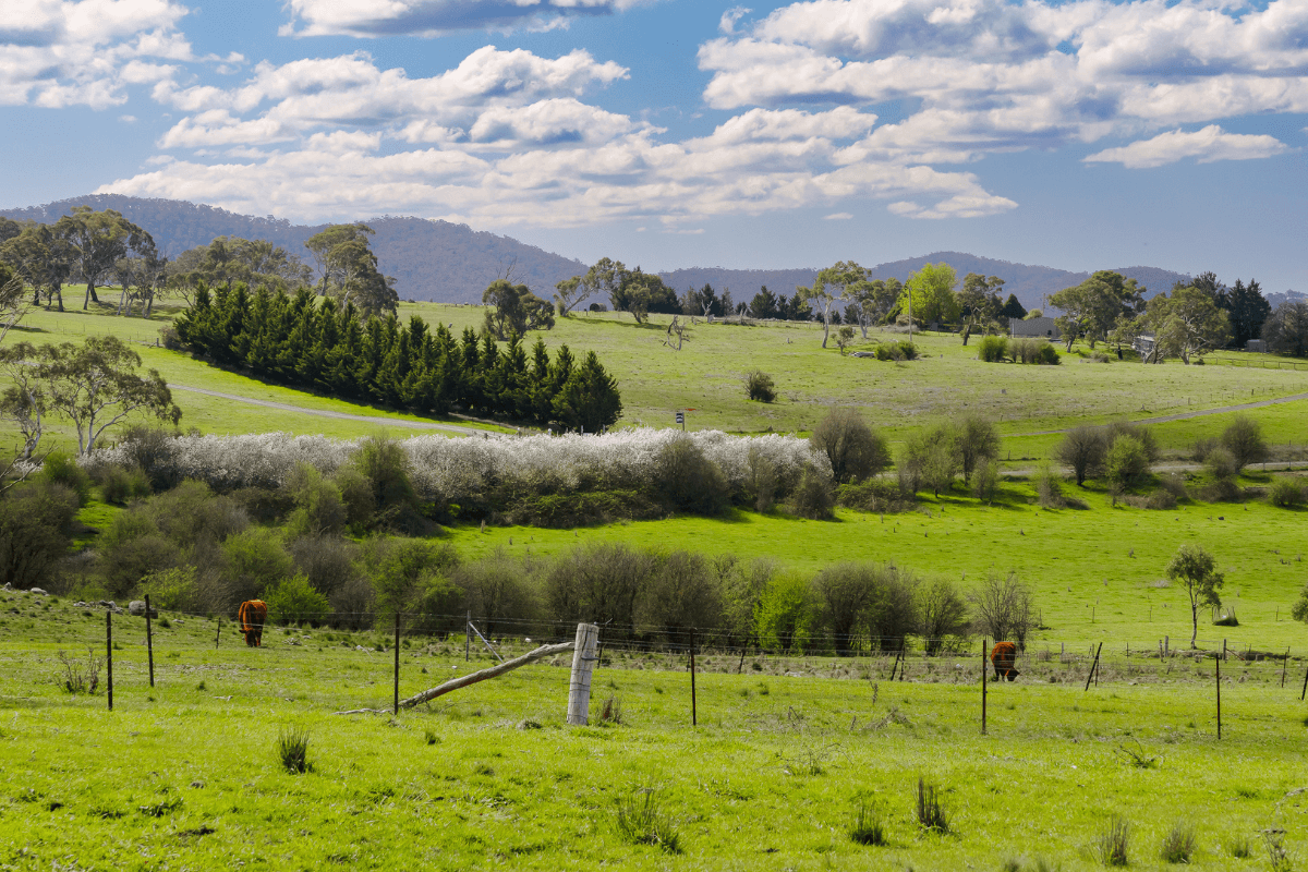 Experience serenity in rural living with this one bedroom unit in Goulburn — Home image 9