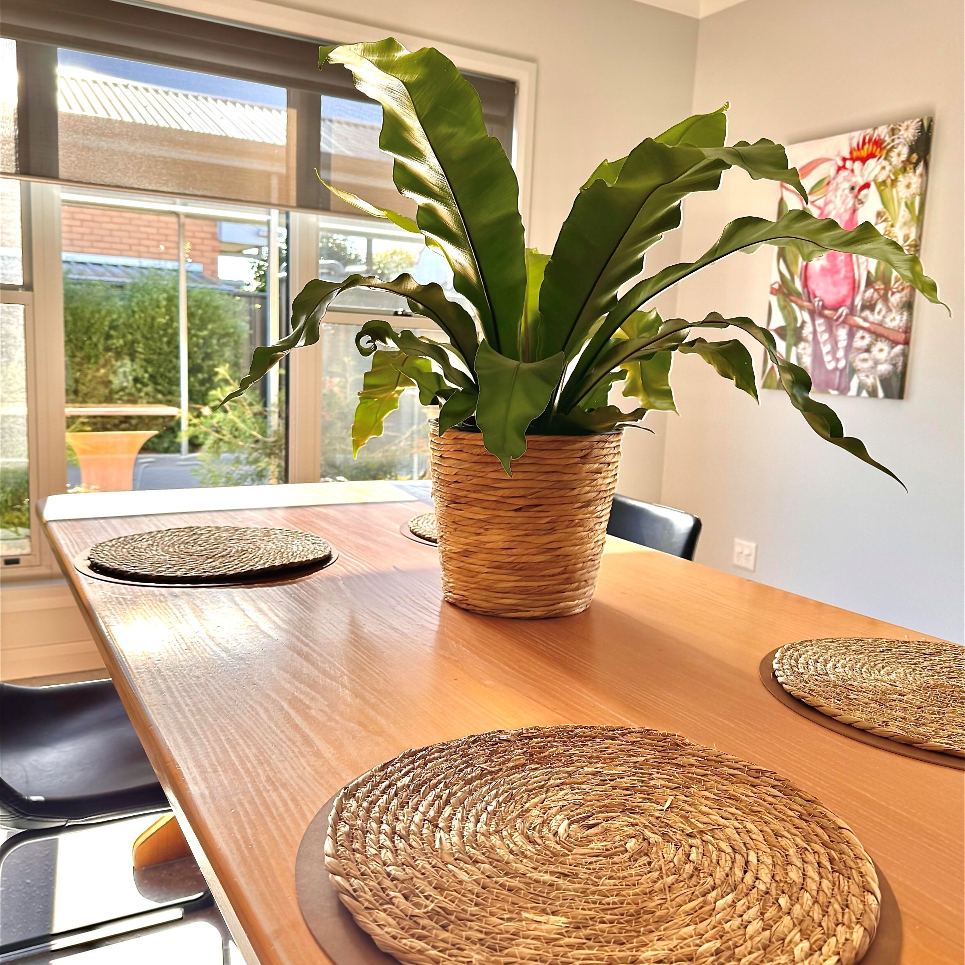 River Gums & Comfort – Your SIL Home in Wangaratta — Home image 3