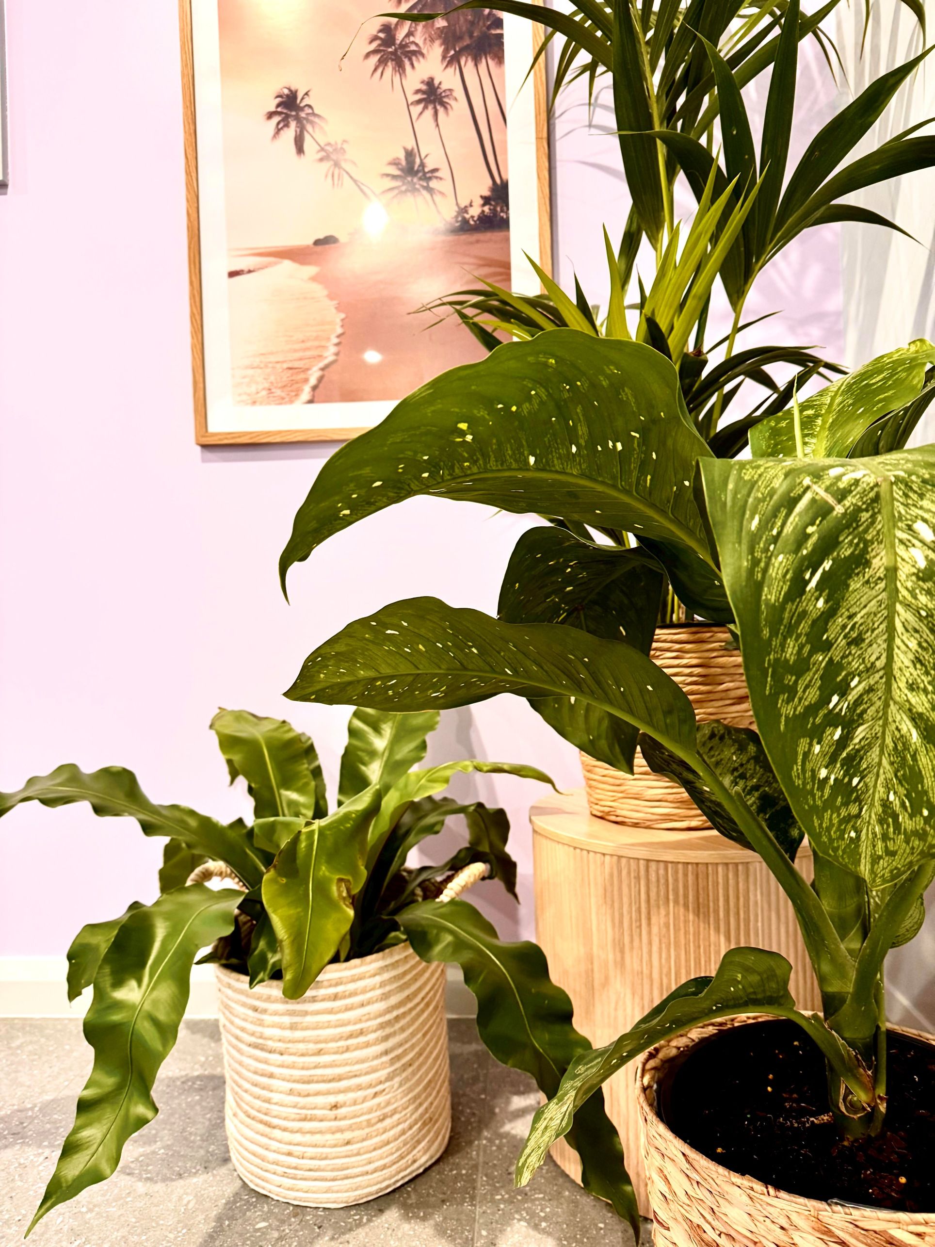 River Gums & Comfort – Your SIL Home in Wangaratta — Home image 6