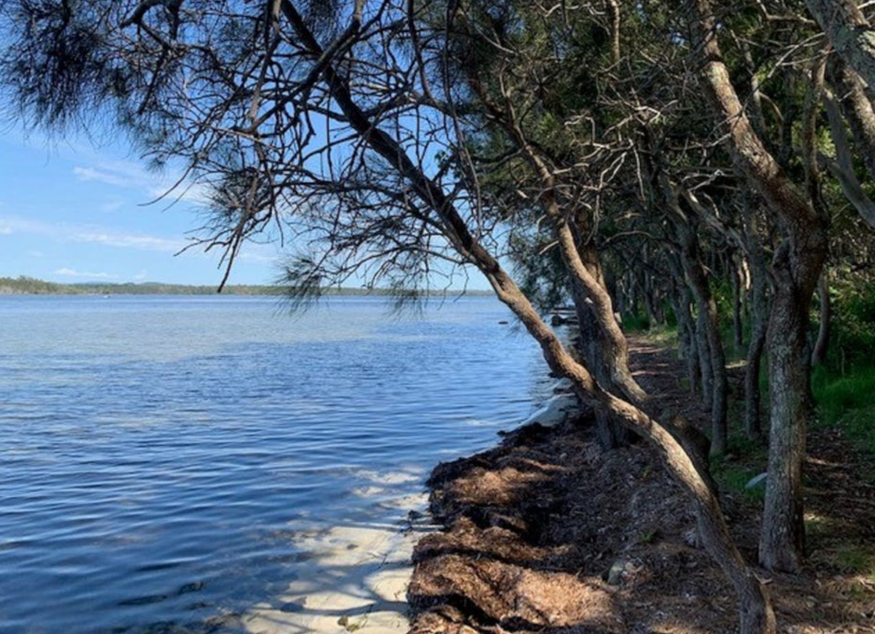 Green Point Close to Town — Home image 3
