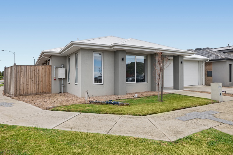 Now Available: Bright & Modern High Physical Support SDA in Cranbourne East — Home image 3